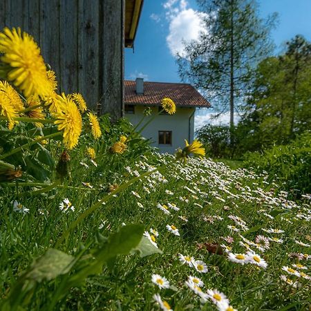 Ferienhaus Schlierachtal Miesbach Eksteriør billede