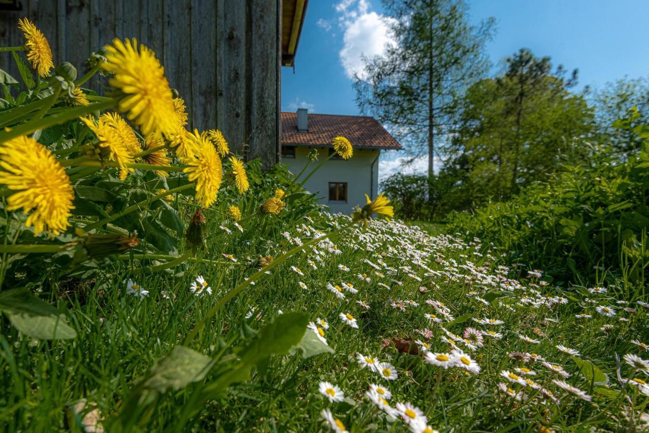Ferienhaus Schlierachtal Miesbach Eksteriør billede
